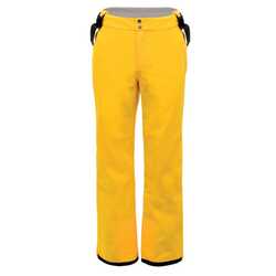 Dare 2b - Dare 2b Certify Erkek Kayak Pantolonu-SARI (1)