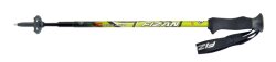Fizan Compact 3 Section Pole Yeşil Baton - Fizan