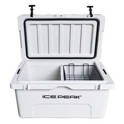 Icepeak - Icepeak Aden Plus Buzluk 65 Litre (1)