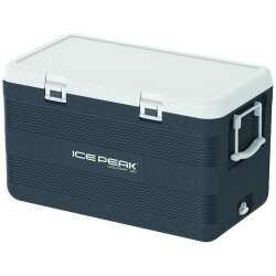 IcePeak CoolCraft 120 Buzluk 113 Litre-FÜME - 3