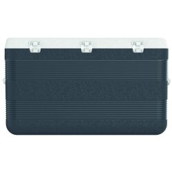 IcePeak CoolCraft 120 Buzluk 113 Litre-FÜME - 4