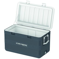 IcePeak CoolCraft 120 Buzluk 113 Litre-FÜME - 9