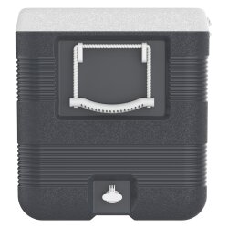 IcePeak CoolCraft 120 Buzluk 113 Litre-FÜME - 3