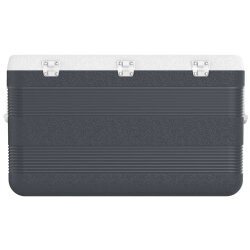 IcePeak CoolCraft 120 Buzluk 113 Litre-FÜME - 4