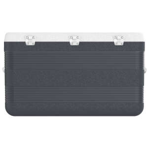IcePeak CoolCraft 120 Buzluk 113 Litre-FÜME - 4