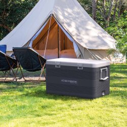 IcePeak CoolCraft 120 Buzluk 113 Litre-FÜME - 9