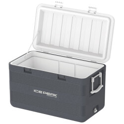 IcePeak CoolCraft 120 Buzluk 113 Litre-FÜME - 5