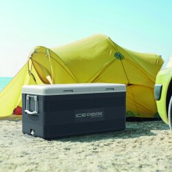 IcePeak CoolCraft 150 Buzluk 141 Litre-FÜME - 6