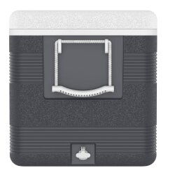 IcePeak CoolCraft 150 Buzluk 141 Litre-FÜME - 3