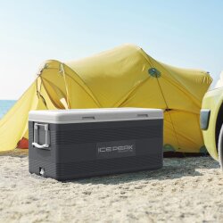 IcePeak CoolCraft 150 Buzluk 141 Litre-FÜME - 7