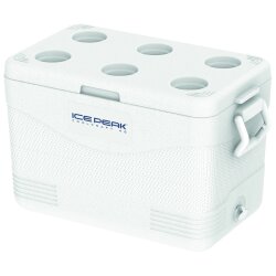 IcePeak CoolCraft 46 Buzluk 41.6 Litre-BEYAZ - Icepeak