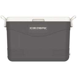Icepeak - IcePeak CoolCraft 46 Buzluk 41.6 Litre-FÜME