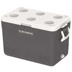 Icepeak - IcePeak CoolCraft 46 Buzluk 41.6 Litre-FÜME (1)