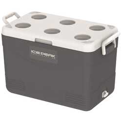 IcePeak CoolCraft 46 Buzluk 41.6 Litre-FÜME - Thumbnail