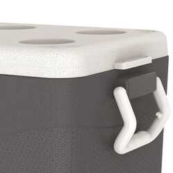 IcePeak CoolCraft 46 Buzluk 41.6 Litre-FÜME - Thumbnail