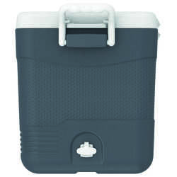 IcePeak CoolCraft 46 Buzluk 41.6 Litre-FÜME - Thumbnail