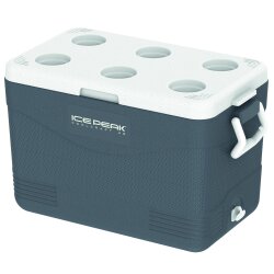 IcePeak CoolCraft 46 Buzluk 41.6 Litre-FÜME - 2