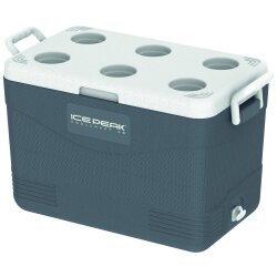IcePeak CoolCraft 46 Buzluk 41.6 Litre-FÜME - 4