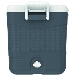 IcePeak CoolCraft 46 Buzluk 41.6 Litre-FÜME - 5