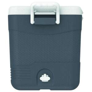 IcePeak CoolCraft 46 Buzluk 41.6 Litre-FÜME - 5