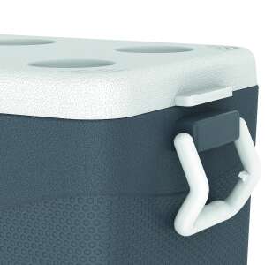 IcePeak CoolCraft 46 Buzluk 41.6 Litre-FÜME - 8