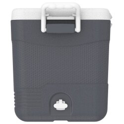 IcePeak CoolCraft 46 Buzluk 41.6 Litre-FÜME - 3