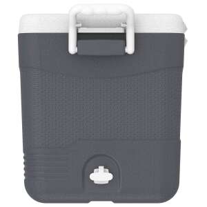 IcePeak CoolCraft 46 Buzluk 41.6 Litre-FÜME - 3