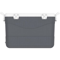 IcePeak CoolCraft 46 Buzluk 41.6 Litre-FÜME - 4