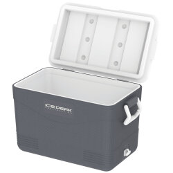 IcePeak CoolCraft 46 Buzluk 41.6 Litre-FÜME - 5