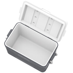 IcePeak CoolCraft 46 Buzluk 41.6 Litre-FÜME - 6