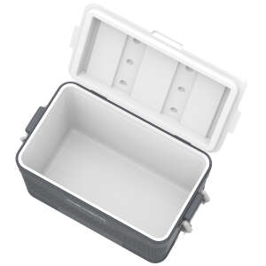 IcePeak CoolCraft 46 Buzluk 41.6 Litre-FÜME - 6