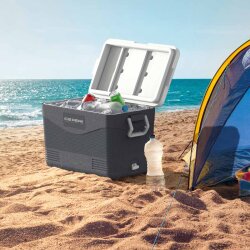 IcePeak CoolCraft 46 Buzluk 41.6 Litre-FÜME - 7