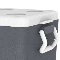 IcePeak CoolCraft 46 Buzluk 41.6 Litre-FÜME - 10