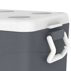 IcePeak CoolCraft 46 Buzluk 41.6 Litre-FÜME - 10