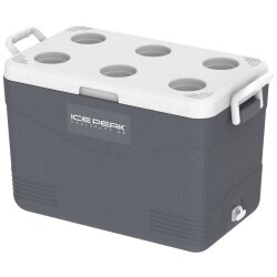 IcePeak CoolCraft 46 Buzluk 41.6 Litre-FÜME - Icepeak