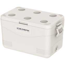 Icepeak - IcePeak CoolCraft 60 Buzluk 56.4 Litre-BEYAZ (1)