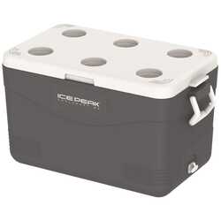 Icepeak - IcePeak CoolCraft 60 Buzluk 56.4 Litre-FÜME (1)