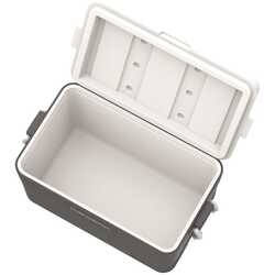 IcePeak CoolCraft 60 Buzluk 56.4 Litre-FÜME - Thumbnail