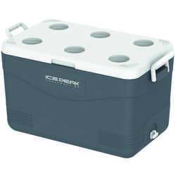 Icepeak - IcePeak CoolCraft 60 Buzluk 56.4 Litre-FÜME (1)