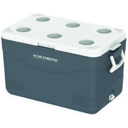 Icepeak - IcePeak CoolCraft 60 Buzluk 56.4 Litre-FÜME