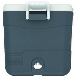 IcePeak CoolCraft 60 Buzluk 56.4 Litre-FÜME - Thumbnail