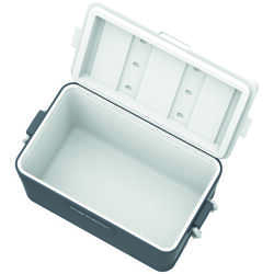 IcePeak CoolCraft 60 Buzluk 56.4 Litre-FÜME - Thumbnail