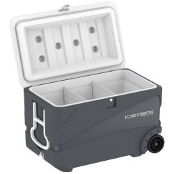 IcePeak CoolCraft 80 Tekerlekli Buzluk 75.2 Litre-FÜME - 5