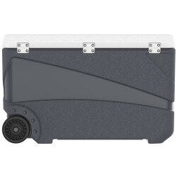 IcePeak CoolCraft 80 Tekerlekli Buzluk 75.2 Litre-FÜME - 7