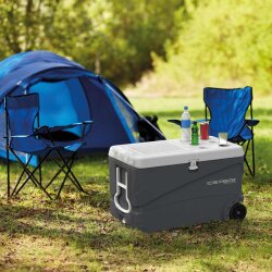 IcePeak CoolCraft 80 Tekerlekli Buzluk 75.2 Litre-FÜME - 9