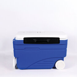 IcePeak CoolCraft Tekerlekli Buzluk 36 Litre - 1