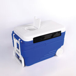 IcePeak CoolCraft Tekerlekli Buzluk 36 Litre - 6