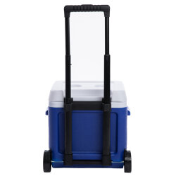 Icepeak IceCube Tekerlekli Buzluk 18 Litre-LACİVERT - 5