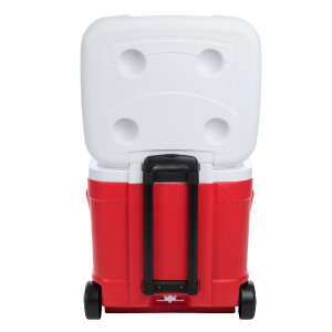 Icepeak IceCube Tekerlekli Buzluk 55 Litre-KIRMIZI - 10
