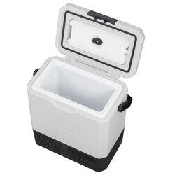 Icepeak Nahio Kompresörlü Buzdolabı 8 Litre-SİYAH - Thumbnail